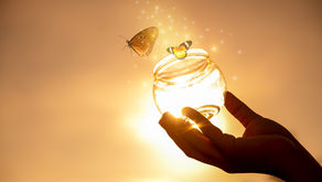 Those End-Of-Summer Butterflies May Never Go Extinct