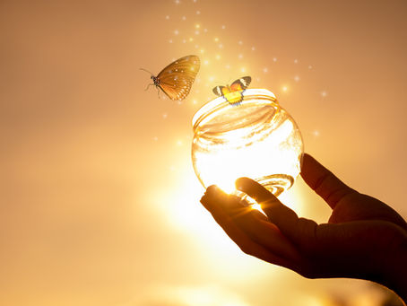 Those End-Of-Summer Butterflies May Never Go Extinct