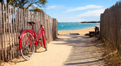 AdobeStock_258975107.jpeg