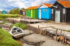 AdobeStock_310625199.jpeg
