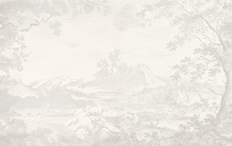 Website Images copy.png