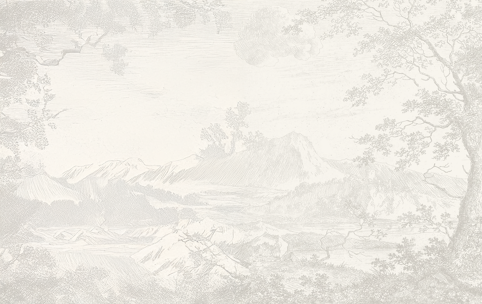 Website Images copy.png