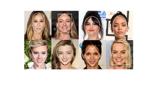 Face shape guide showing oval, round, square, heart, diamond, triangle and rectangle face shapes with key characteristics