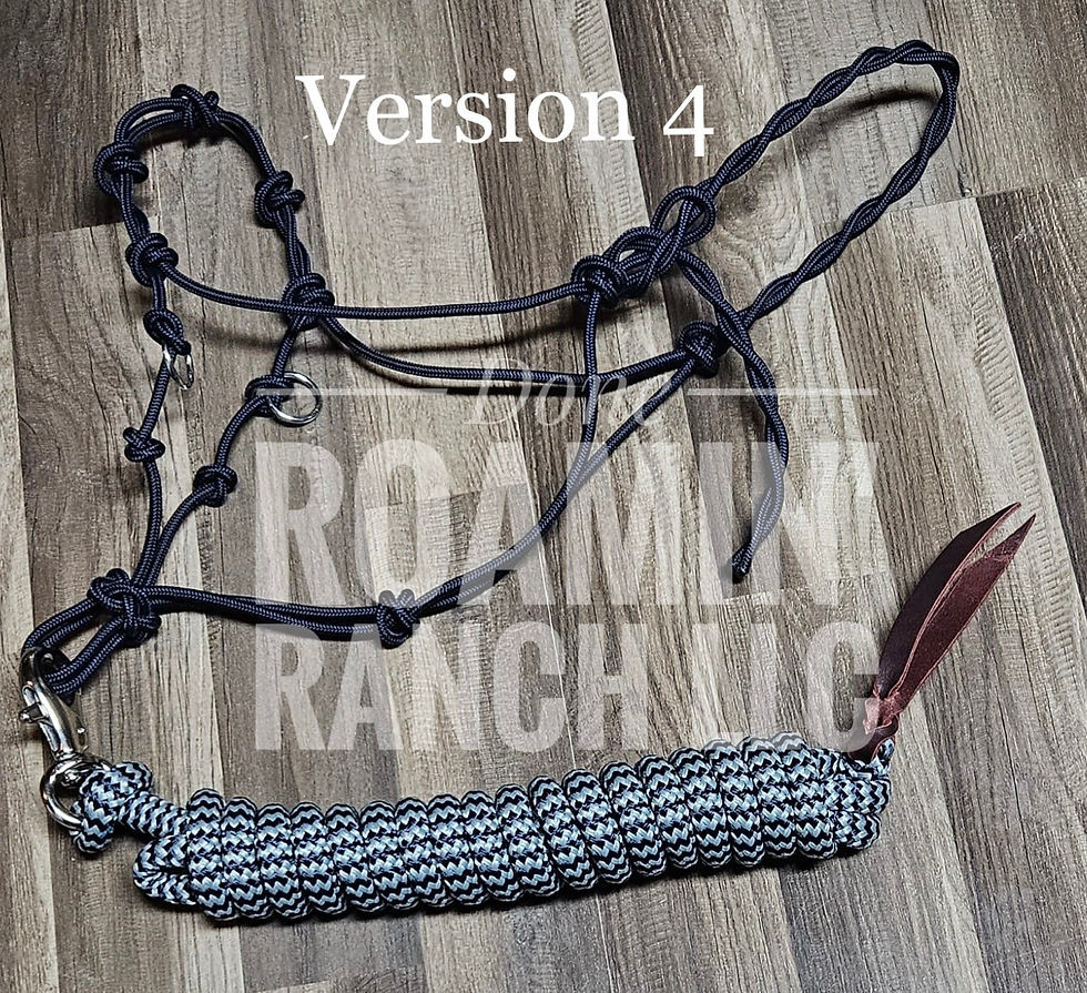 Thumbnail: Sidepull/Hackamore