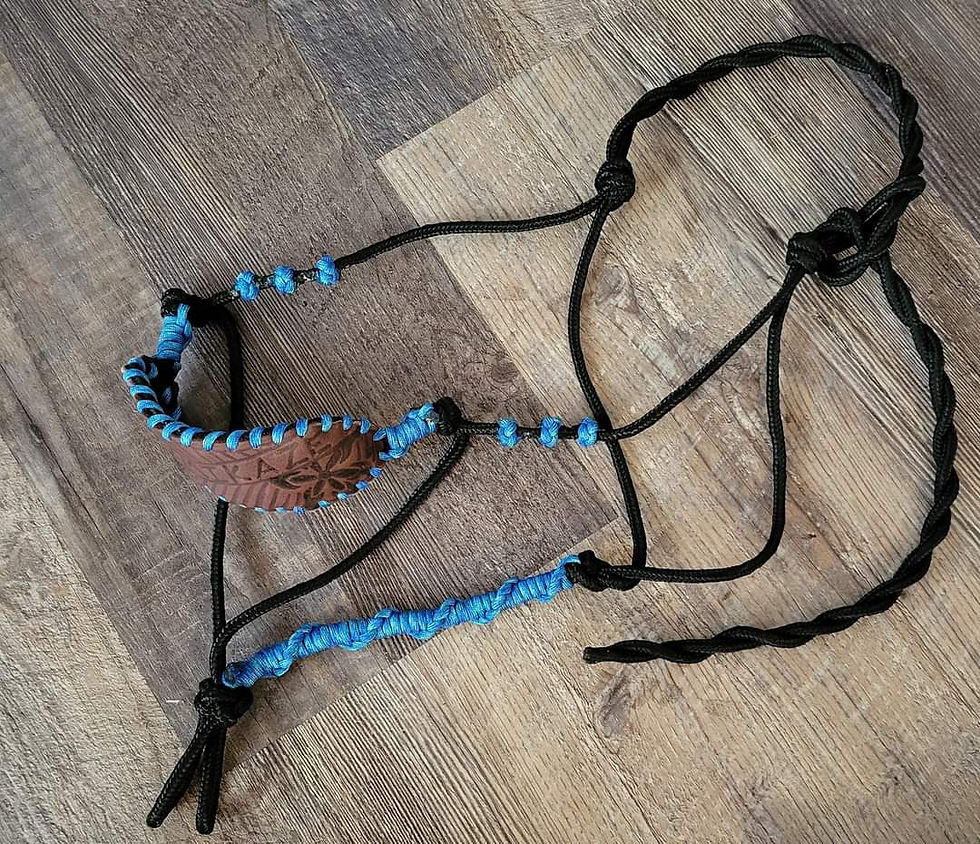 Thumbnail: Custom Leather Bronc Halter