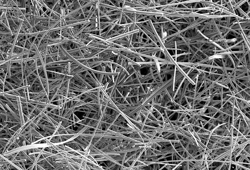 SEM_0015.tif