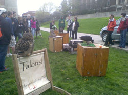 Birds of Prey at Earth Week. I assisted in managing funds for the event.
