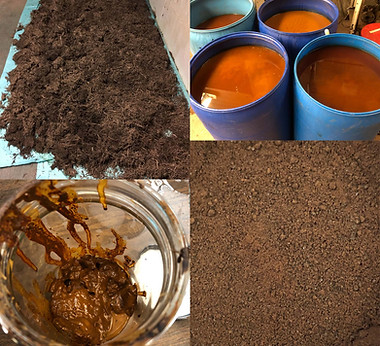 Hot Water Extraction Streams.jpg