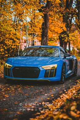 Blue Audi R8 v10 car in fall leaves