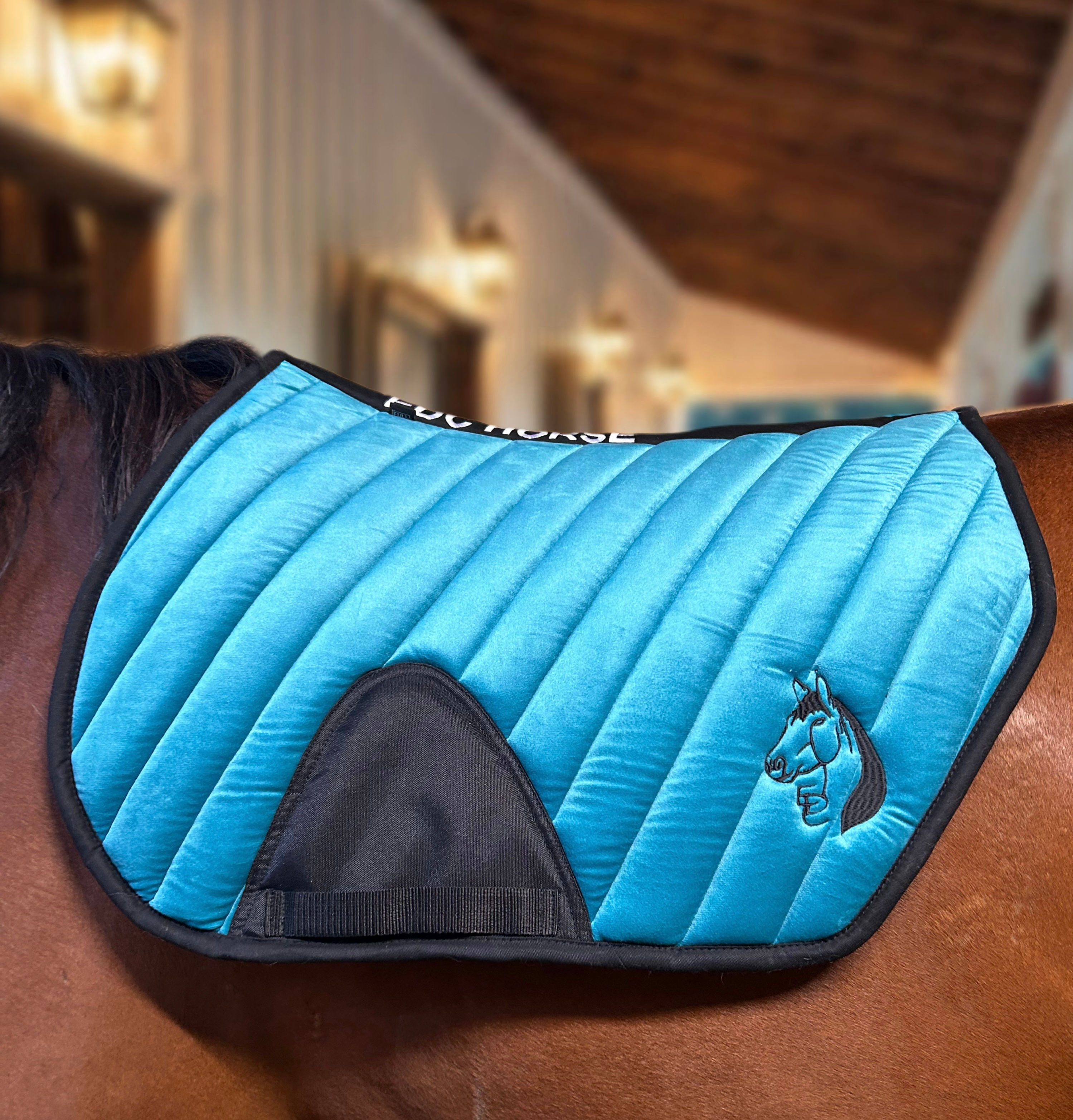 tapis saut d'obstacle Apollo-lux bleu