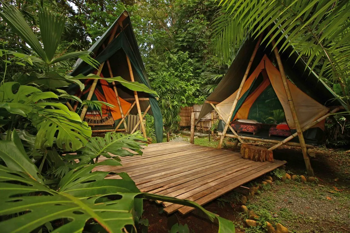 TIKI TENT.webp