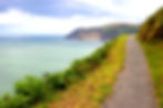 exmoor and the sea.jpeg