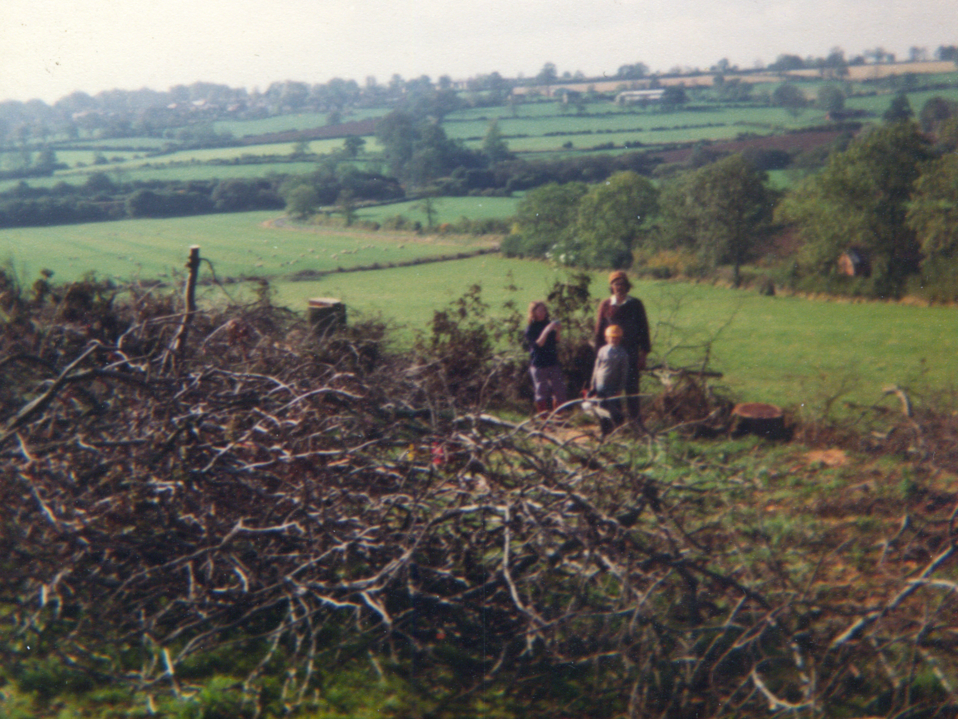 Cutting Wood, c1976