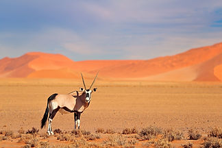 AdobeStock_279454421.jpeg