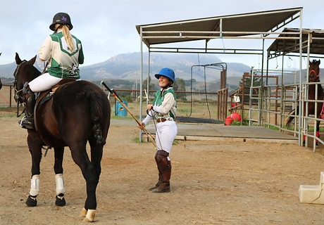 PoloPhotoTwo.JPG