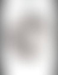 Nemesi (Philip Roth)