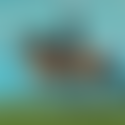 Sådan får du topkarakterer for tölt