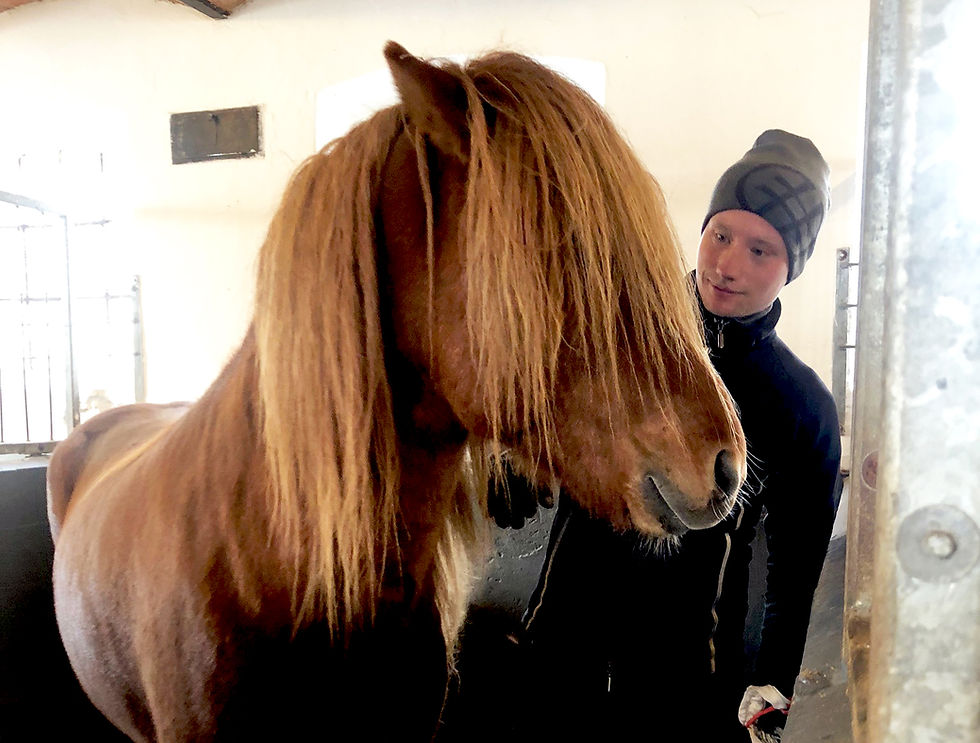 Emil Fredsgaard Obelitz, rytter med islandsk hest
