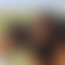 Kun 50% af hesteejere kan spotte en halthed