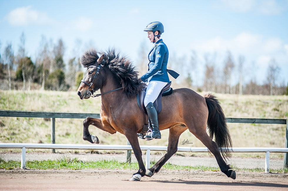 Filippa Montan i tölt