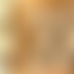 Lemon Poppy Seed Muffins