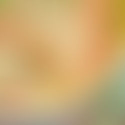 Empowered Noodle Bowl