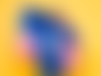 Partiotic bearded man with American flag