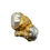 Thumbnail: Margaret Ring