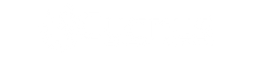 Cygnus White Transparent.png