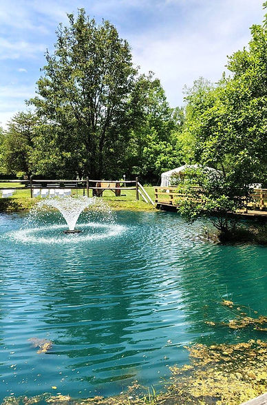 hero-pond-fountain.jpg