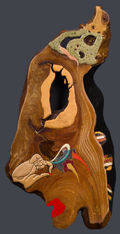 structural color gallery; art gallery; megumi nagai