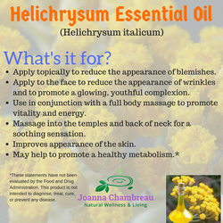 Helichrysum
