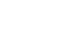 Stealth Logo White Landscape.png