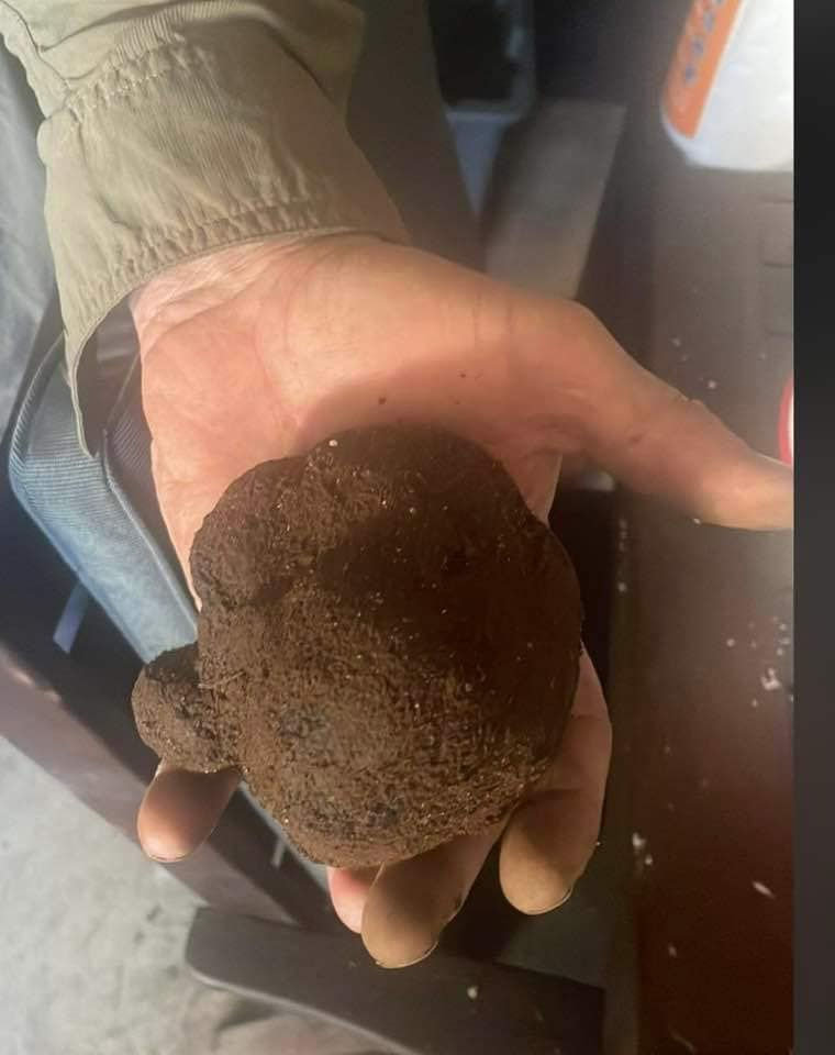 Thumbnail: Black Truffle