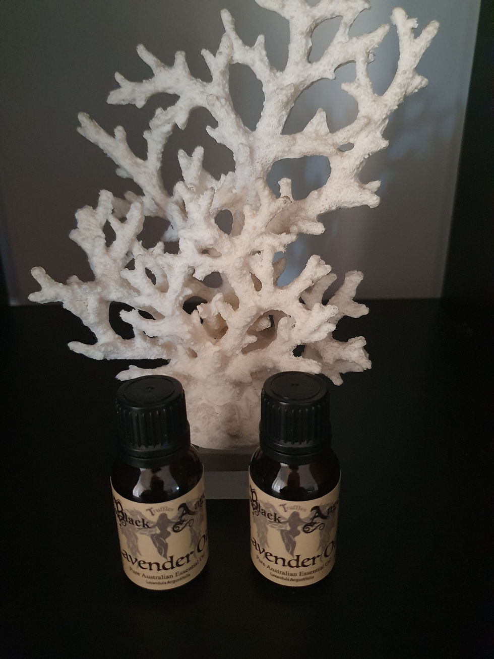 Thumbnail: Lavender Essential Oil  15ml