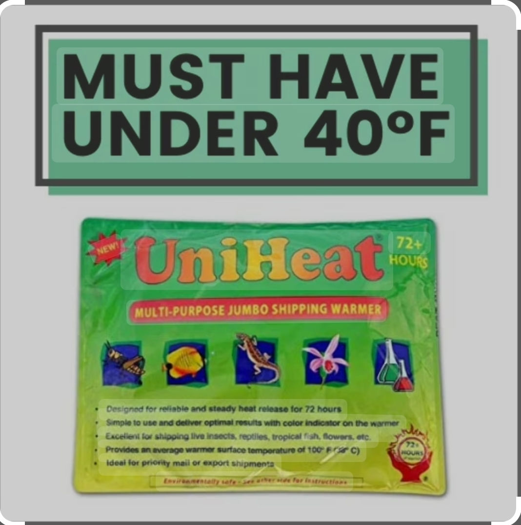 72 hour Uniheat heat pack *ADD ON ONLY*