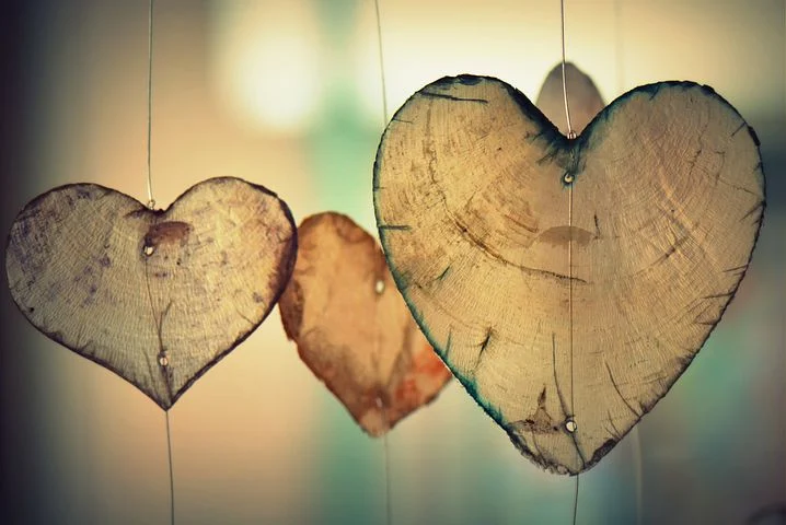 heart-700141__480.webp