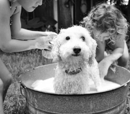 2017-05-23_13-11-16 blk white istock copy.jpg