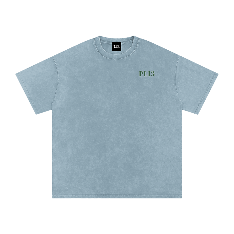 Thumbnail: The Lot - Unavailable.. - Snow Washed Oversized Cotton T-Shirt