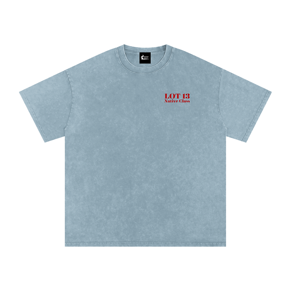 Thumbnail: The Lot - Native Class BIO - Snow Washed Oversized Cotton T-Shirt