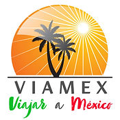 VIAMEX LOGO COMP 2 JPG.jpeg