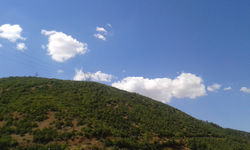 IMG-20140912-WA0005.jpeg
