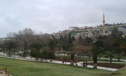 Şanlıurfa - Balıklıgöl