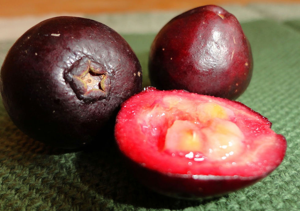 Araçá e suas Propriedades Benéficas para a Saúde