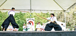 dku karate
