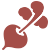 vegetable icon
