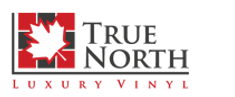 true north logo.png