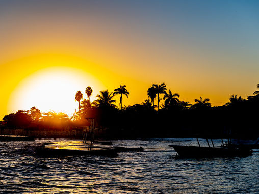 Excursions in Jamaica Runaway Bay | Singh Tours Int'l