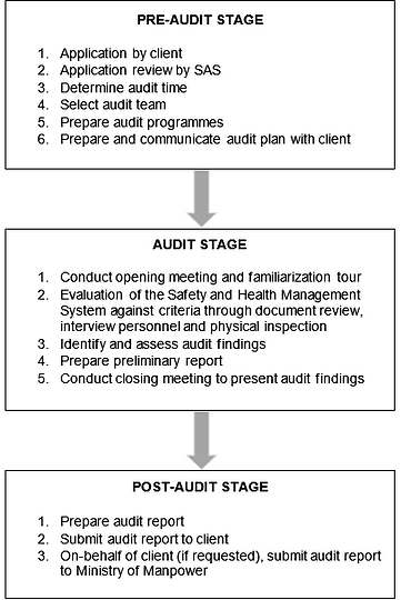 Audit Procedure.PNG