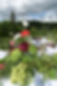 AA37F96D-86F5-4CFC-8AC5-0B36F0A5A10A_1_105_c.jpeg